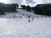 Click for larger image.